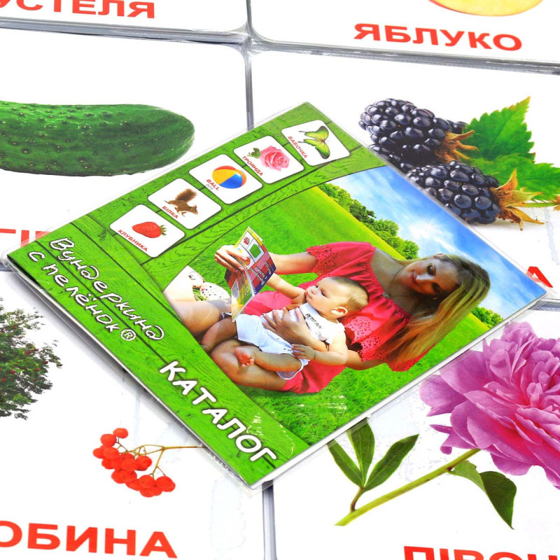 Розвиваюча гра Картки Домана Випуск 2 Світ природи «Вундеркінд з пелюшок» - 6 наборів арт. 097027