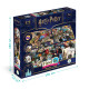 Настільна гра Harry Potter Find It Dodo (200585)