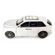 Іграшкова машинка металева Rolls-Royce Ghost BLACK BADGE, ролс ройс, білий, звук, світло, інерція, откр двері, капот, Автоексперт, 1:32,15*8*5,5см (ТК-11056)