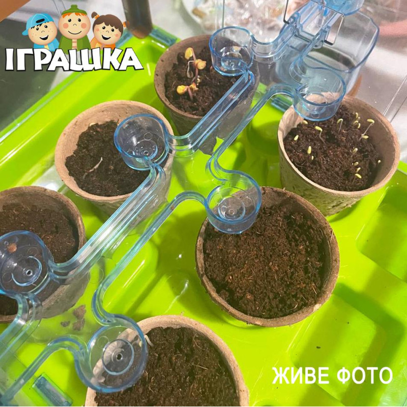Набор юного садовода Ботанические эксперименты теплица семена инструменты грунт Fun Game (18415)