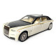 Машинка металева дитяча Rolls-Royce Ролс Ройс, білий з чорним, Автоексперт, 1:24, світло, інерція, відкриваються двері, багажник, капот, 21*5*7см (GT - 09396)