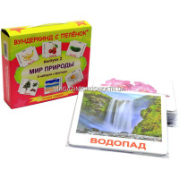 Развивающая игра Карточки Домана Выпуск 2 Мир природы «Вундеркинд с пеленок» ламинация 6 наборов 120 карточек