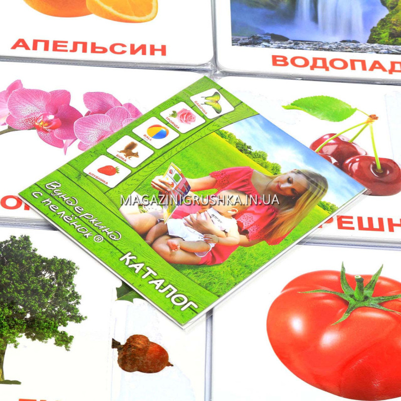 Развивающая игра Карточки Домана Выпуск 2 Мир природы «Вундеркинд с пеленок» ламинация 6 наборов 120 карточек