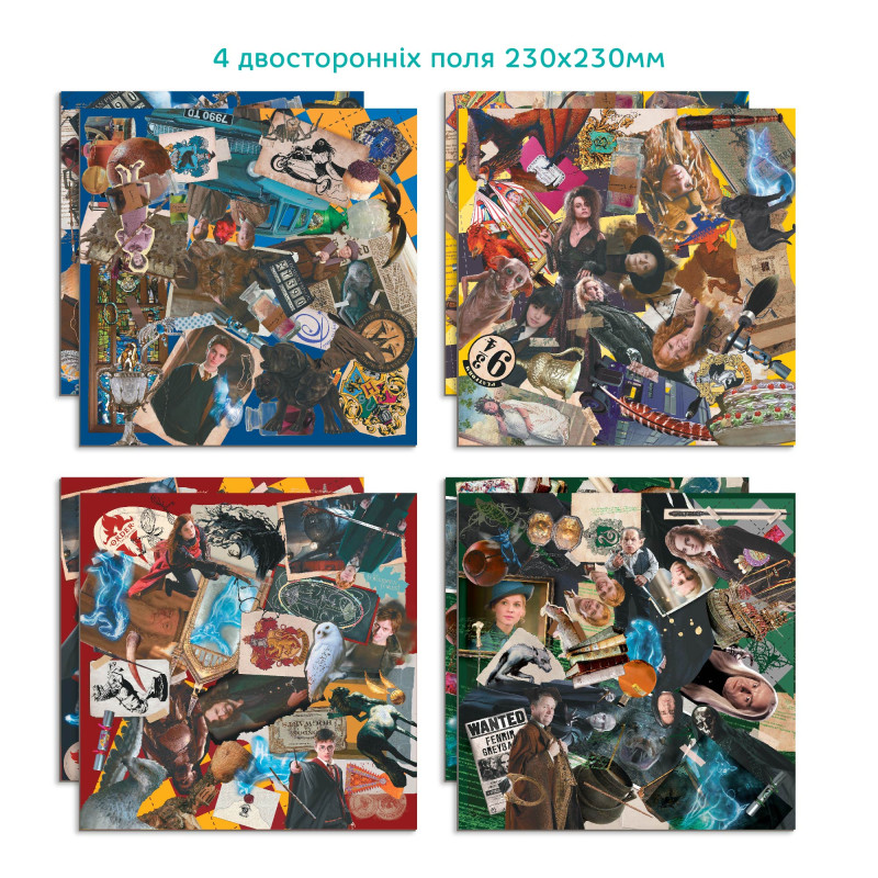 Настільна гра Harry Potter Find It Dodo (200585)