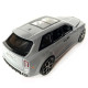 Іграшкова машинка металева Rolls-Royce Ghost BLACK BADGE, ролс ройс,сірий, звук, світло, інерція, откр двері, капот, Автоексперт, 1:32,15*8*5,5см (ТК-11056)