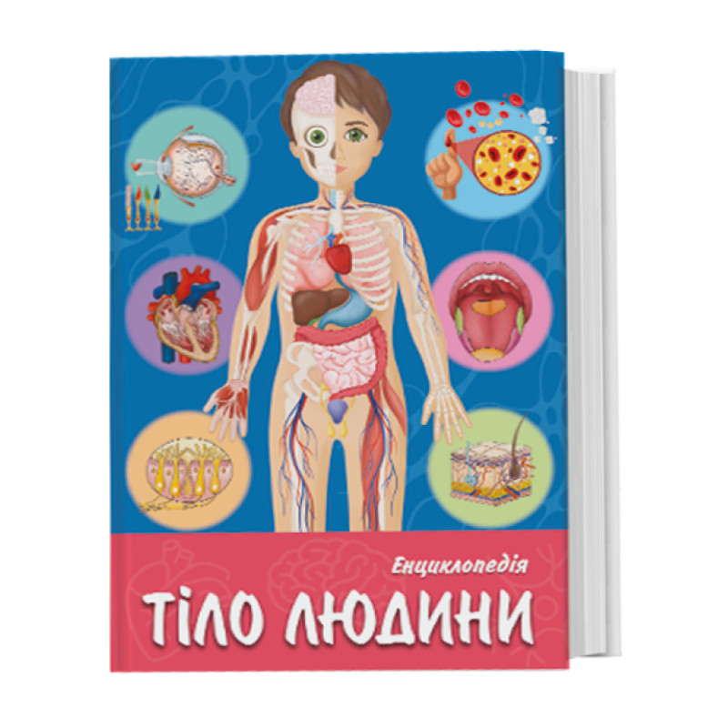 Книга для розвитку дитини 3D Тіло людини, енциклопедія, оживає, доповнена реальність, звук, FastAR kids, 43ст, українська мова, 20,5*28,5*см (237172)